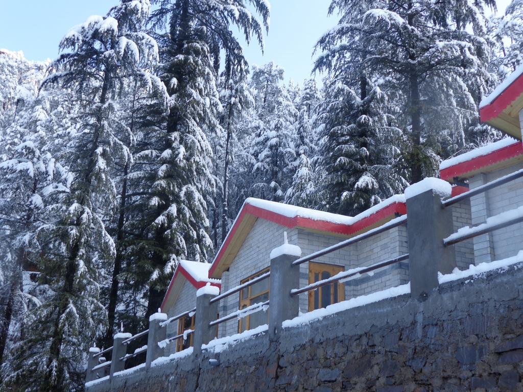 Village Live In Resort Chail Dış mekan fotoğraf